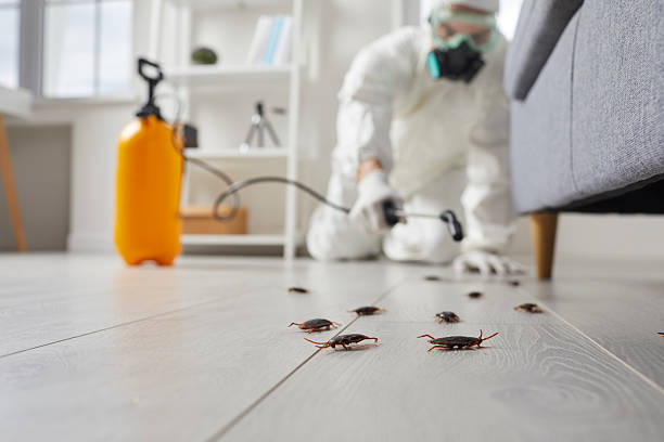 Commercial Kitchen Cockroach Control in Suitland